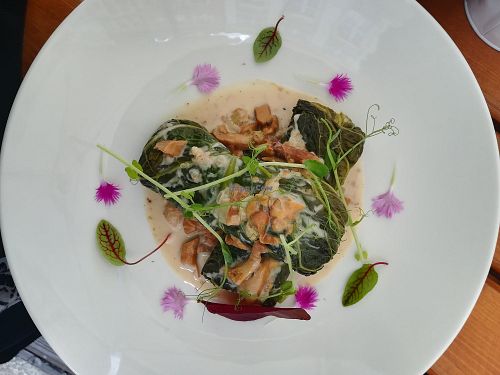 Cabbage rolls with rice and chanterelle sauce at Pod Niebieniem in Poznan