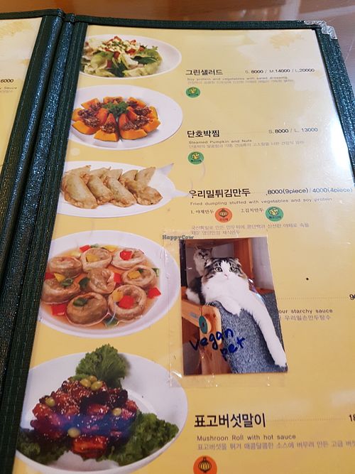 Menu and vegan cats at Oh Se Gae Hyang - 오세계향 in Seoul