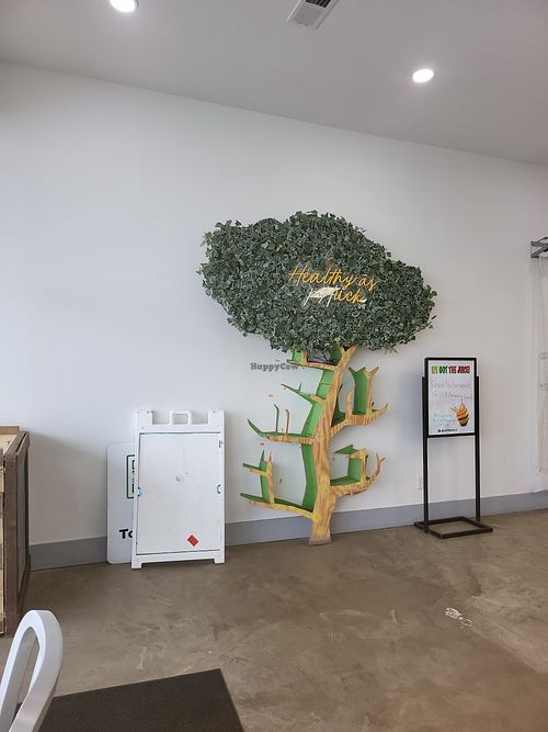 Fun interior at Turning Natural in Forestville