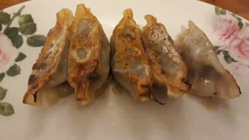 Gyoza at Osaka Sushi Tonkatsu in Vientiane