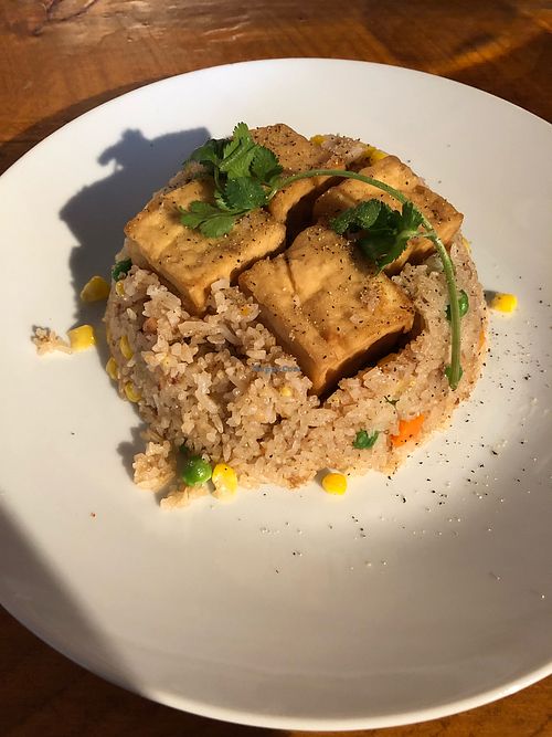 Tofu fried rice no egg at Peak of Asia in Breckenridge