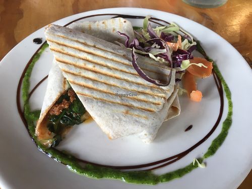 Vegan burrito with cheese and mince filling   at Chocolate Brown in Warkworth