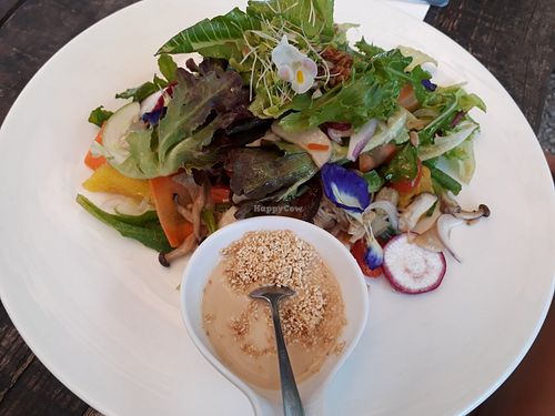 Mushroom salad at Seed to Feed in Koh Phangan
