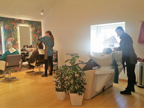 First organic hair studio in Slovenia. Using only organic plant hair dies, shampoos, conditioners ...  and Ayurvedic care & regenerative products. Reservations (call or text): +386 41 404 773 at Ziva Center in Ljubljana