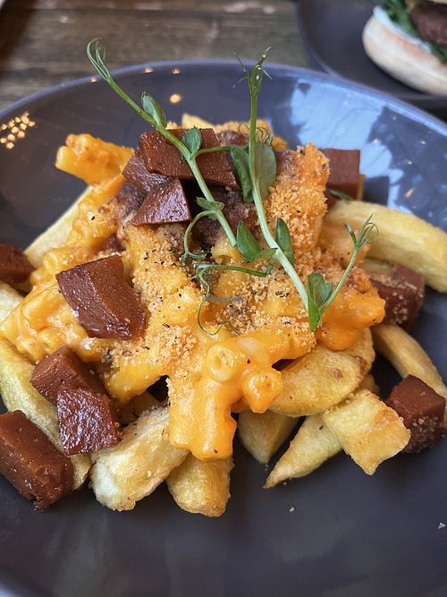   at Seeds for the Soul in Edinburgh