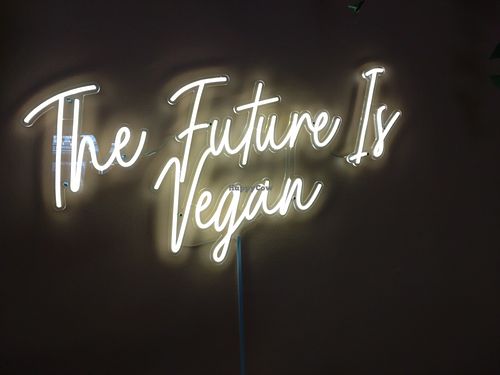  at Seeds for the Soul in Edinburgh