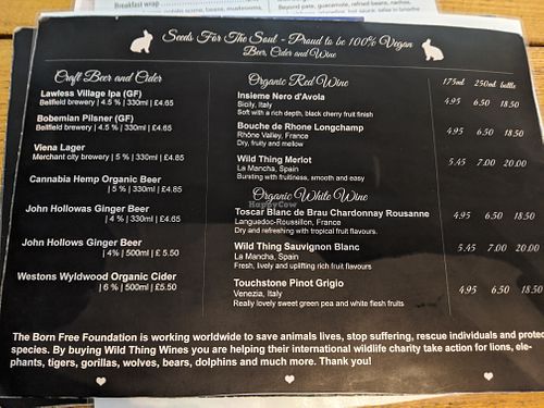 alcoholic drinks menu at Seeds for the Soul in Edinburgh