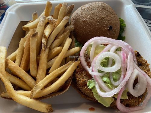 Vegan burger and fries. (Not beyond, impossible, etc) at DFW - Twisted Root Burger - TA in Dallas