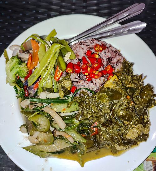 Gaeng Kee Lek w/brown rice and stir-fried veggies at T&I Tien Sin in Pattaya