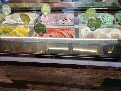 Selection of vegan ice creams at Loop & Scoop in Glasgow