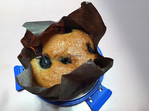 Vegan mixed berry muffin  at Footscray Doughnuts and Coffee in Footscray
