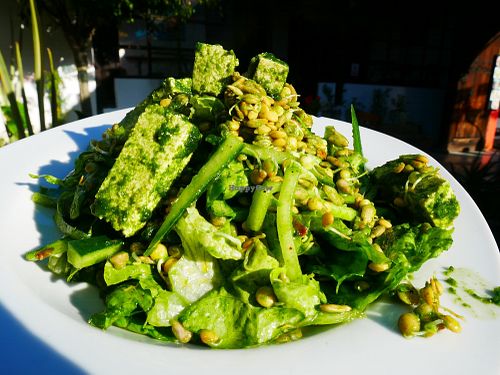 Green Tofu Salad at Jardin La Reserva Restaurante in San Cristobal De Las Casas