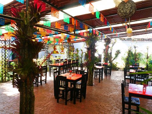 The Garden at Jardin La Reserva Restaurante in San Cristobal De Las Casas