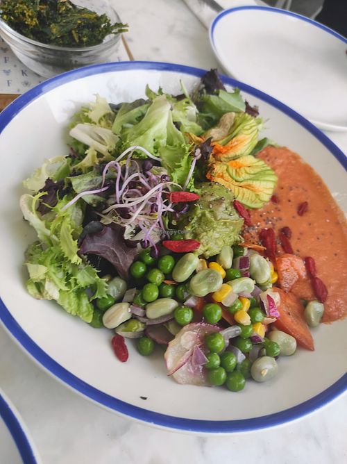 Vegan Restaurants in Barcelona, Spain