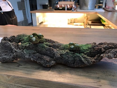 tree at El Invernadero de Rodrigo de la Calle in Madrid