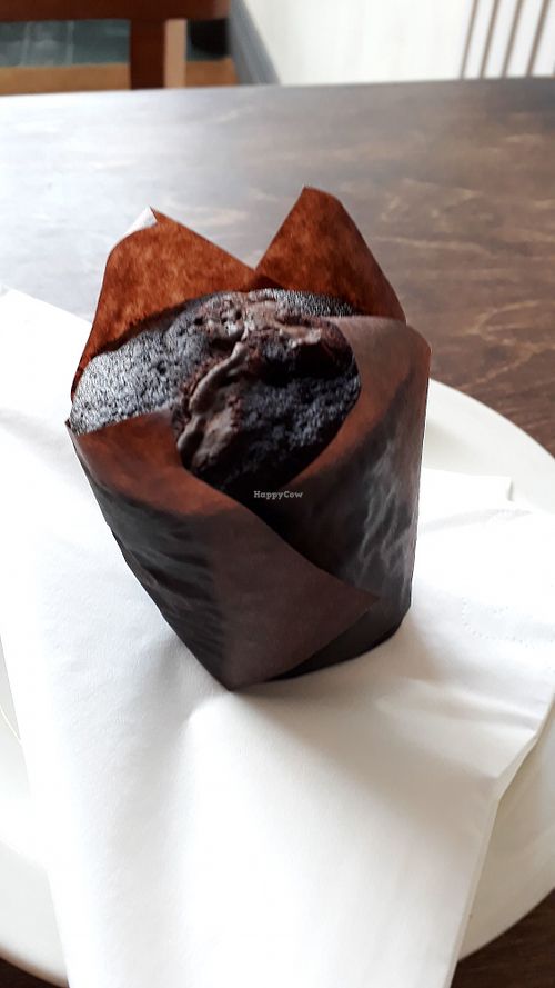Vegan chocolate muffin at One Sixty in Burnley