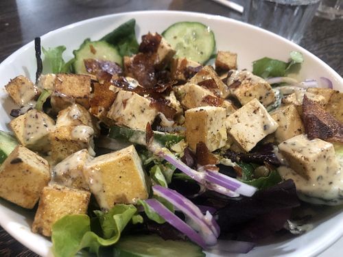 Cesar   at Planted in Hamilton in Hamilton