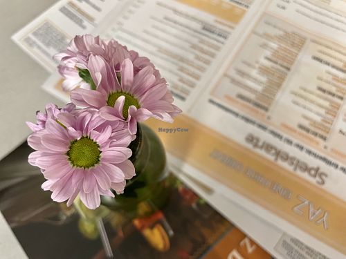 decoration at Yaz in Stuttgart