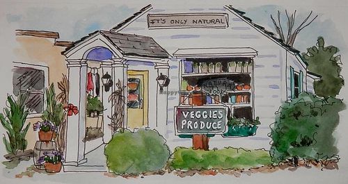 Drawing of building, besides the porch it pretty accurate at It's Only Natural in Bellport