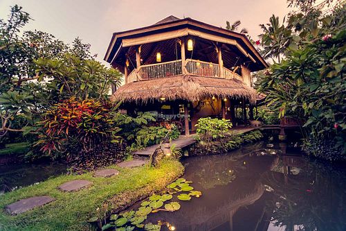 Dragonfly village  at Dragonfly Cafe in Ubud
