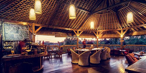 Dragonfly cafe at Dragonfly Cafe in Ubud
