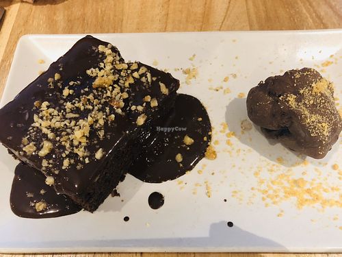 Brownie at Alive in Barcelona