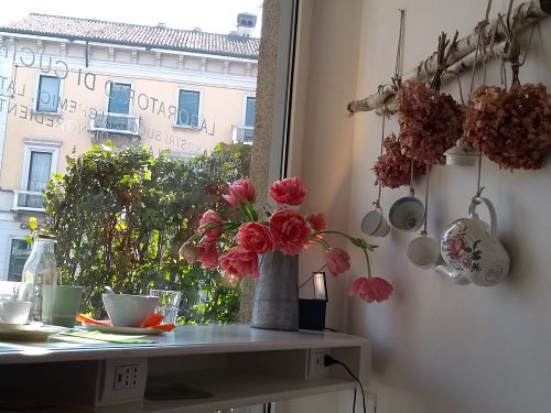 Window seating area looking towards the Duomo at Tearose Deli in Monza