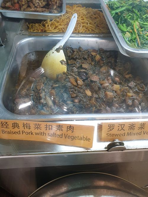 Braised pork with salted vegetable👍 at Yuan Yuan 圓緣素食 - Chinatown in Central Singapore