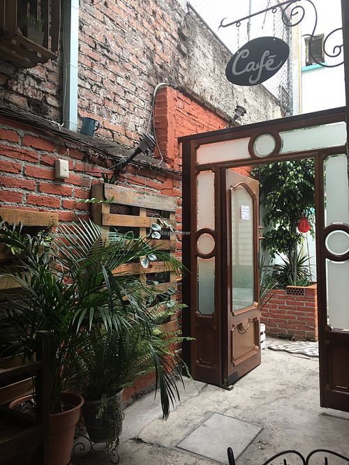 Inside. Loved the plants, brick wall, overall super cute interior/atmosphere  at Luna Vegana in Mexico City