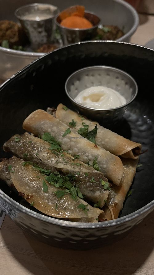 Dumplings  at Aleph Middle Eastern Eatery in Vancouver