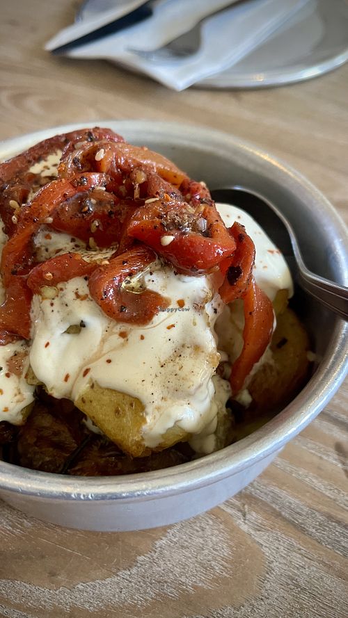 Plant Curious deal + Alpepa Potatoes   at Aleph Middle Eastern Eatery in Vancouver