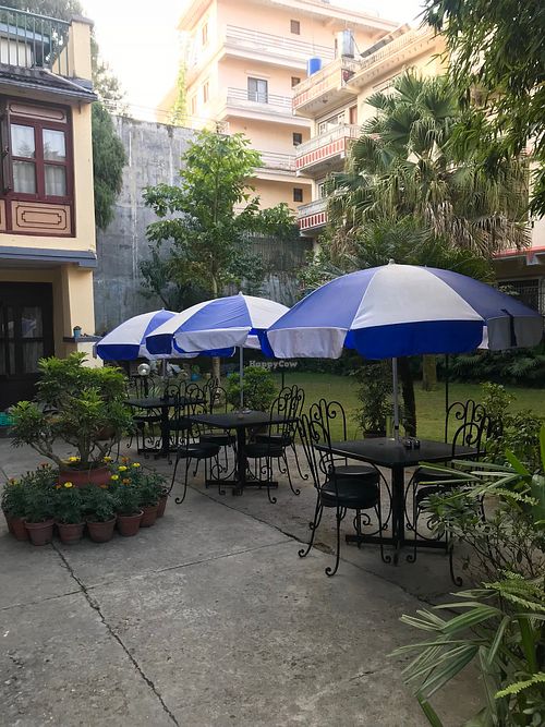 Garden at Dragon Guest House Vegetarian Restaurant in Kathmandu