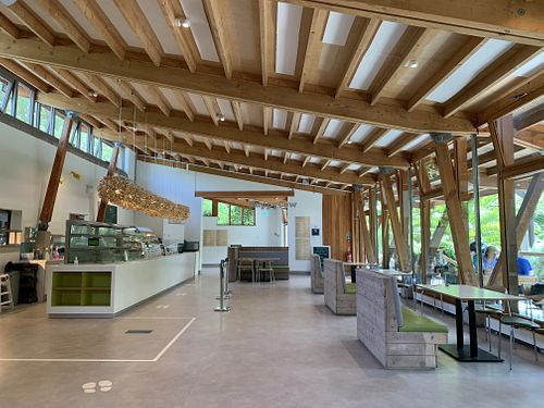 Cafe area at Trebah Garden in Falmouth