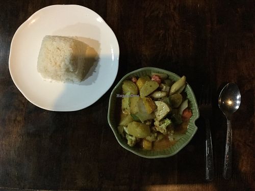 massaman curry and rice at The Swan Burmese Cuisine in Chiang Mai