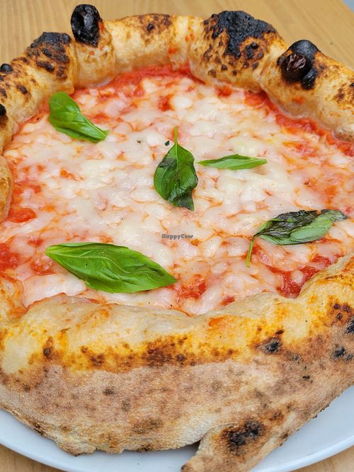 Margarita pizza at Purezza Camden in London