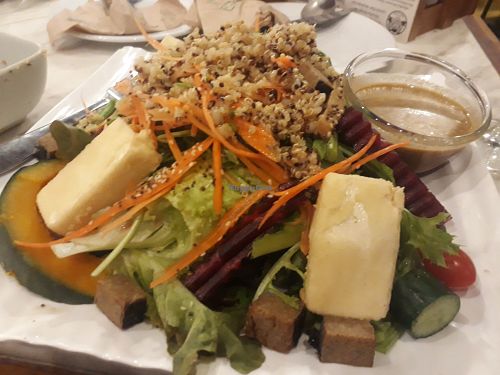 Veggie fish and tofu salad with extra quinoa topping at Ohkajhu Organic Restaurant - Nim City in Chiang Mai