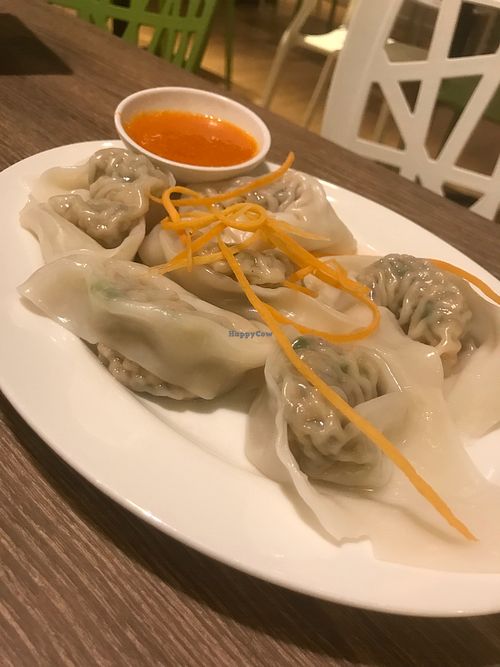 Dumplings  at Genesis 创世界素食馆 in Central Singapore