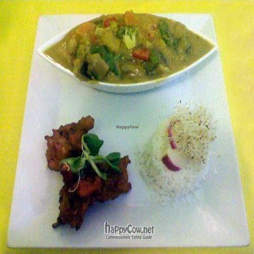 Delicious vegan curry and rice served at Restaurante Vegetariano, Torrevieja, Costa Blanca, Spain. at Beet Vegetariano in Torrevieja