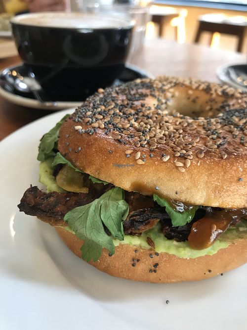 Image of The Wildcat