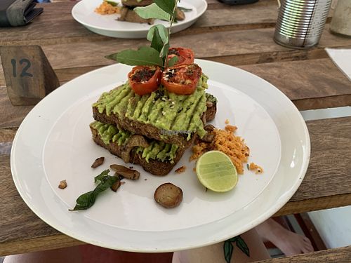 Vegan avo toast with mushrooms and tomato  at Shady Lane in Mirissa