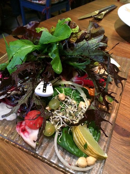 Cold salad at Toutes Les Couleurs in Lyon