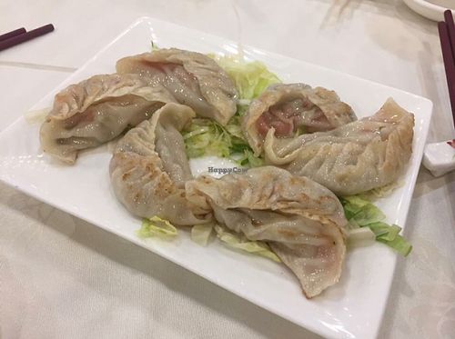 Pan-fried dumplings at Three Virtues 三德食品 - Jordan in Kowloon