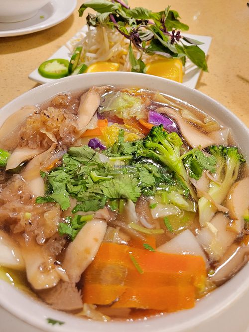 Veggie Pho (again) w/rice noodles so nice ☺️ at The Sun Vegan in Fountain Valley