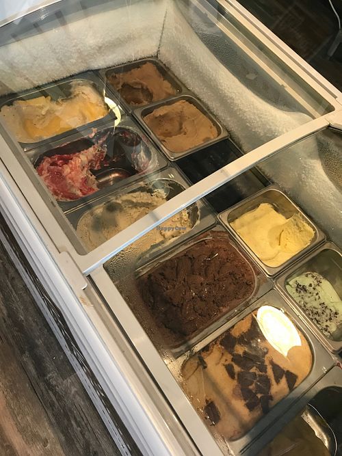 vegan gelato! (vegan caramel and vegan cinnamon doughnut) at Relish in Griffith