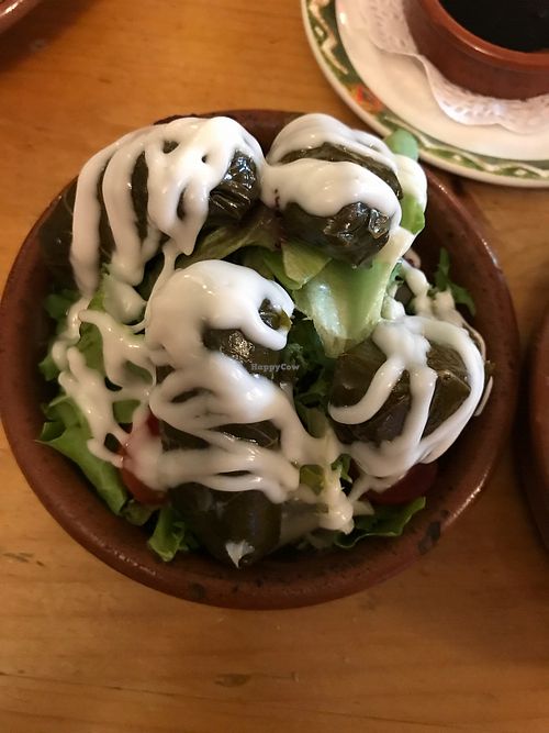 Vine leaves at Tapas Tree in Bradford