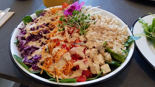 Asian salad at Eight - The Health Lounge in Lisbon