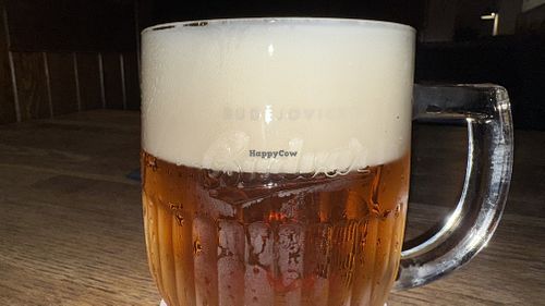   at Střecha in Prague