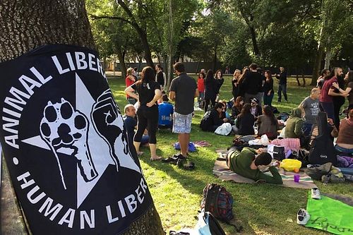 Veganique Veganário at Veganario in Lisbon