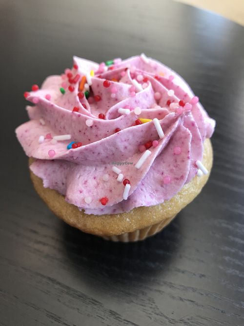 Vegan cupcake at Nourish in Calgary