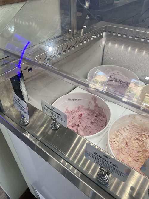Vegan Options Clearly Labeled  at Nature's Organic Ice Cream in Fremont